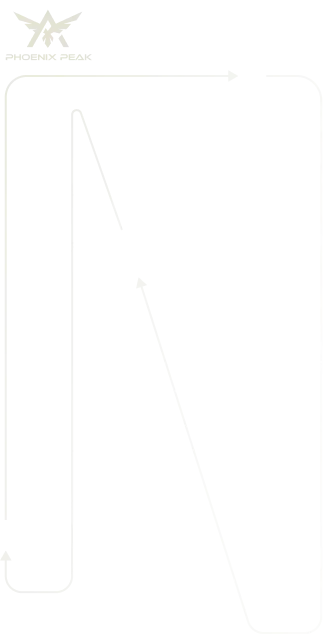 Decorative line for the hero section